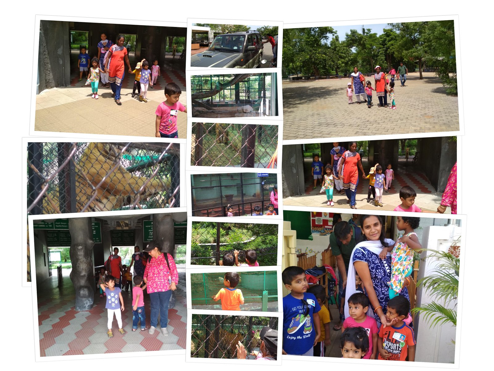 Vandalur Zoo Safari - Wildlife Discovery