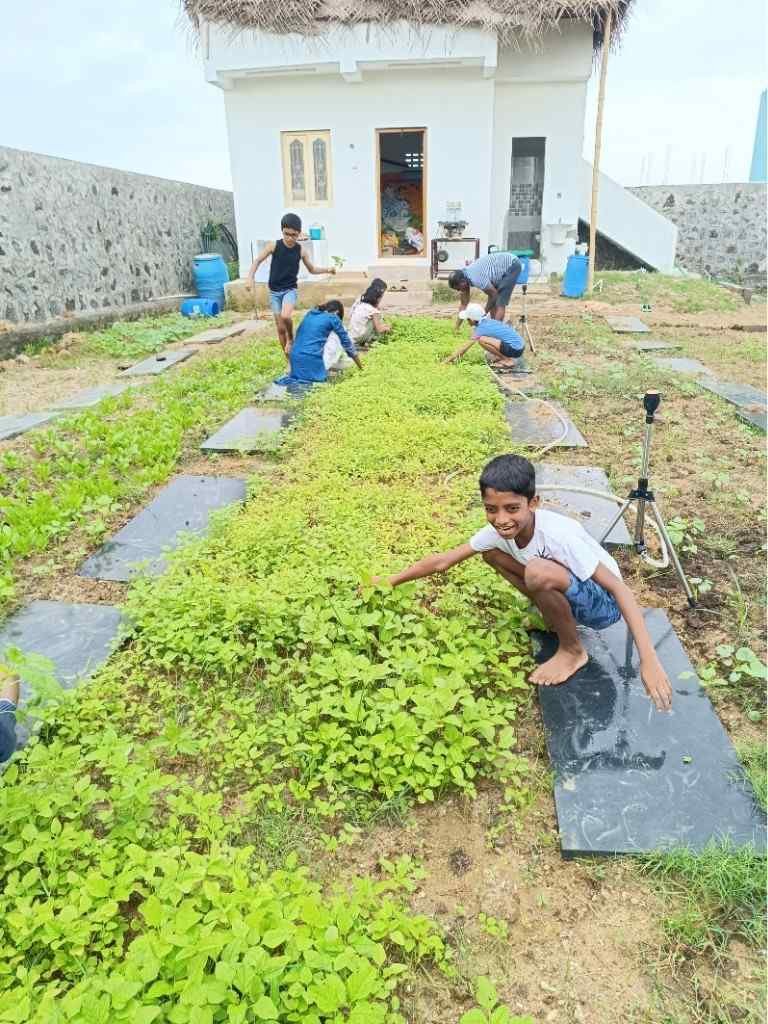 Children joyfully tending to farm beds and learning nature at Kalpavrikshalaya